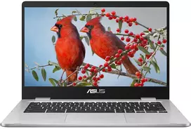 ASUS Chromebook C424MA-BV0305 Intel Celeron 4GB RAM 14.0 inch HD nešiojamas kompiuteris