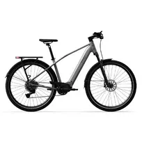 Electric bicycle TENWAYS AGO X Special Edition, 29" Silver