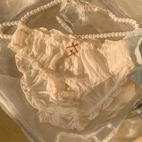 Sexy Plus Size Womens Underwear Cotton Gusset Breathable Mid Rise Panties Moonlight Sweetheart Pure Desire XL abrikosas
