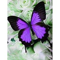 DIY 5D Diamond Painting Butterfly Full Round Drill Floral Diamond Embroidery Cross Stitch Mosaic Wall Art Home Decor Gift Full Round 20x30CM