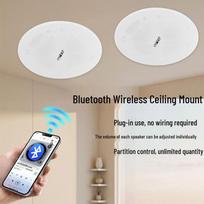 SAST D30 Wireless Bluetooth Ceiling Speaker System CN plug (adapter included)