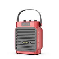W-King T15S Portable Bluetooth Instrument Amplifier Speaker CN plug (adapter included)
