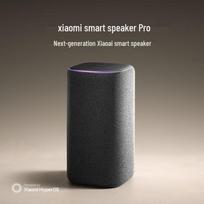 Xiaomi Smart Speaker Pro CN plug (adapter included)