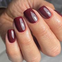 Short Square Press on Nail,24Pcs Wine Reds Fake Nail in 12 Sizes Glossy False Nail Acrylic Stick on Nail for Women 1