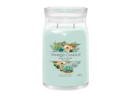 Yankee Candle Aloe & Agave 567ml kvepianti žvakė