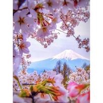 5D DIY Diamond Painting Landscape Cross Stitch Diamond Mosaic Scenery   Embroidery Kit Full Round Round Home Decorat Full Round 20x30CM gray
