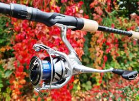 Ritė Shimano Stradic Fm C3000 - 5.1:1, 225g, 9kg stabdžio jėga