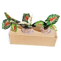 High Temperature Resistance Gecko Plant Ornament Suction Cup Habitat Reptiles Plants  Lizard Style 8