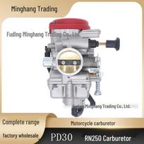 Carburetor for JS250, ATV250, EN250, PD30, QM250GY, GXT250 Motorcycles