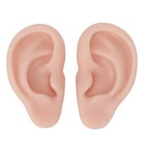 Soft Flexible Human Ear Replicas Ideal For Kids Role Play Piercer Education And Professional Beauty Courses