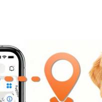 Tractive Gps Dog Tracker 4G LTE GPS Real-Time Location Tracking Dog Collar Daily Historical Route for Cats &Small Dogs China Mainland