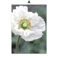 White Daisy Succulent Aloe Tropical Plant Wall Art Canvas Painting Nordic Posters And Prints Wall Pictures For Living Room Decor 21cm×30cm NoFrame
