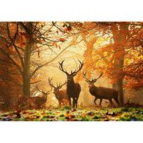 5D DIY Diamond Painting Jungle Elk Diamond Embroidery Full Mosaic Kits Cross Stitch Home Decor Handmade Gifts Round 20x30cm