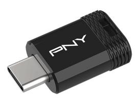PNY Technologies PNY Elite-X Fit 256GB USB-C 3.2 Gen 1 USB flash drive Sort