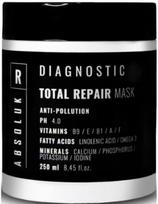 Absoluk kaukė pažeistiems Absoluk Total Repair 250ml