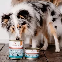 PERRO jautiena su petražolių šaknimi šlapias šunų maistas 850g