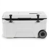 Termodėžė 50 l