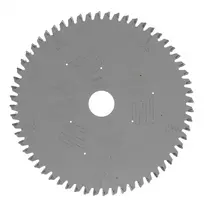 DeWalt pjūklas 216 x 30 mm TCG 60T