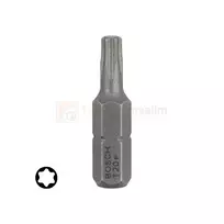 Bosch antgaliai Torx T20 10 vnt