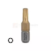 Bosch antgaliai Torx T25 3 vnt