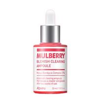 Wild Mulberry Dark Spot Correcting Ampoule 30ml 30ml