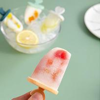 Changbaosen 10-Piece Easy-Release Ice Cream Mold Set