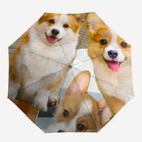 1PC Dogs Puppies Corgi Automatic Opening And Closing, Sturdy Iron Frame, Portable Folding Design, Suitable For Men And Women In All Seasons02