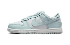 Nike Dunk Low White Glacier Blue (PS) 28