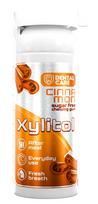 Kramtomoji guma su ksilitoliu DENTAL CARE Xylitol Cinnamon, 20 vnt.