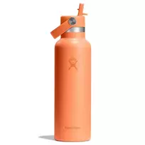 Hydro Flask 620 ml Standard Flex Straw Cap Insulated Water Bottle Nectar