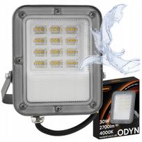 LED prožektorius 30W, 2700 lm, 4000K, lauko, Premium