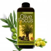 Trąšos alyvmedžiams Growth Technology Olive Focus, 1 l