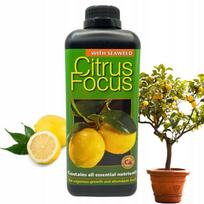 Citrusinių augalų trąšos CITRUS FOCUS 1 l
