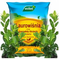 Trąšos laurams ir lapuočių gyvatvorėms WESTLAND, 5 kg