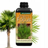 Palmėms skirtos trąšos PALM FOCUS 1L, subalansuotos