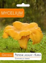 Miško grybų micelis, voveraitės (Cantharellus cibarius)