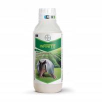 Fungicidas BAYER INFINITO 687,5 SC, 1 l, reikalingas sertifikatas