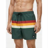 Vyriški maudymosi šortai Quiksilver, žali