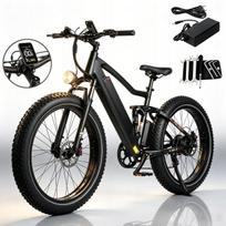 Elektrinis miesto dviratis MAXTRON MX1 250W 48V 13Ah, iki 25 km/h