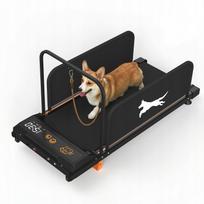 Bėgimo takelis mažiems šunims, tylus, 2in1 su LCD, iki 110 kg
