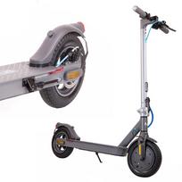 Elektrinis paspirtukas Motus Scooty 10 Lite Gen, 700W, lengvas, miesto naudojimui