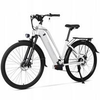 Elektrinis dviratis Paselec TX10, 250W, 48V, 15,6Ah, 28", LCD, iki 80 km