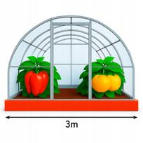 Polikarbonatinis šiltnamis Strong 3x6 m, 4 mm, 20x20 profiliai
