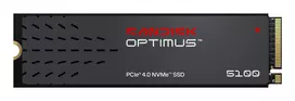 SanDisk 1TB 600xTBW rating NVMe SSD diskas, M.2