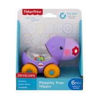 Kūdikio žaislas FISHER - PRICE POPPITY POP HIPPO