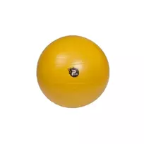 REHA FUND PILO-1045 Reabilitacinis kamuolys ABS 65 cm Sidabrinis/Pilka
