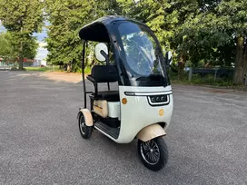 Elektrinis triratis su stogu RIDE-E NEMO (EEC) 1000W 60V 20Ah