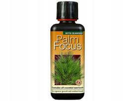 Trąšos palmėms PALM FOCUS 300ml Growth Technology idealiai subalansuotos