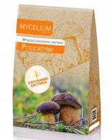Atrinkta baravykinių grybų (Podgrzybek) kultūra 120ml