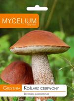 Raudonikių grybienos kultūra miško grybams